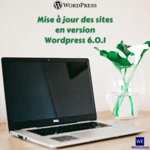Lire la suite à propos de l’article Mise à jour de tous les sites en version WordPress 6.0.1