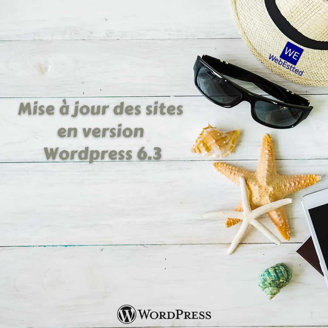 You are currently viewing Mise à jour de tous les sites en version WordPress 6.3
