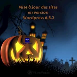 Lire la suite à propos de l’article Mise à jour de tous les sites en version WordPress 6.3.2